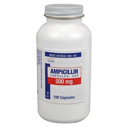 ampicillin