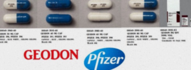 Geodon générique