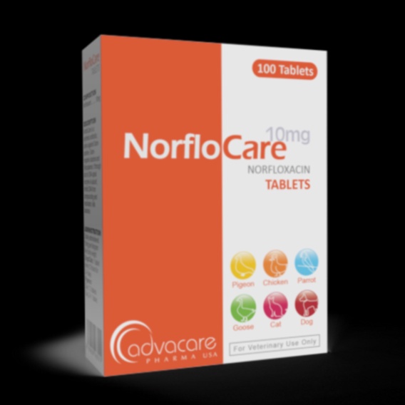 norfloxacine